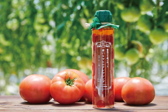 醤油 ドレッシング 詰め合わせ 海風と時のたから 200ml 1本 赤いトマトのドレッシング 180ml 2本 [近岡屋醤油 石川県 宝達志水町 38601214] 調味料 しょうゆ 食べ比べ セット