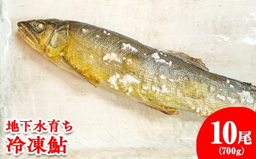 yȖ،szn炿@Ⓚ10
