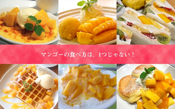 【3ヵ月定期便】フローズンマンゴー（ブロックタイプ・冷凍）　【毎月１kg】　沖縄県