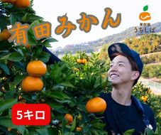 和歌山県産 濃厚な甘さ 早生みかん 5kg 農家直送   	DX002