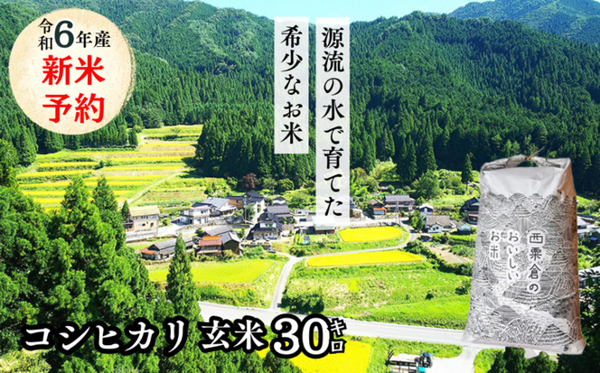 玄米 30kg 令和6年産 コシヒカリ 岡山 「おおがや米」生産組合 G-ad-ADZA