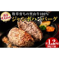 国産黒毛和牛 牧草育ちの里山牛100%使用！手作りジャンボハンバーグ 1.2kg (300g×4個） a5-283