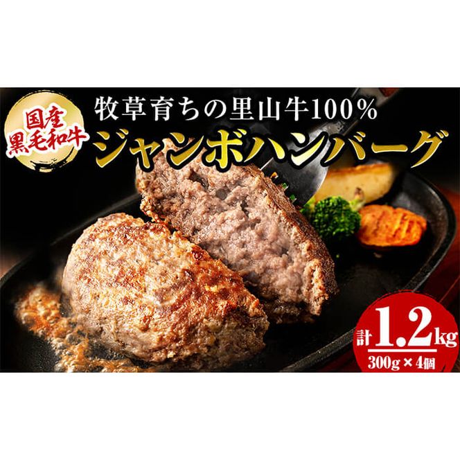 国産黒毛和牛 牧草育ちの里山牛100%使用！手作りジャンボハンバーグ 1.2kg (300g×4個） a5-283