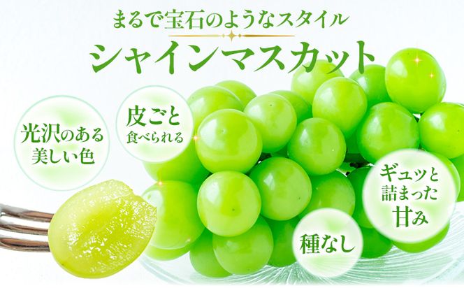 岡山県産 加温栽培 つる付き シャインマスカット 2房 (580g以上) 【配送不可地域あり】 《7月上旬-8月下旬頃出荷予定》 岡山県 矢掛町 マスカット ぶどう 葡萄 果物---osy_chbf10_ak7_24_31000_2---