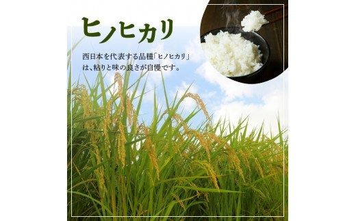 【B01025】大分丹生米の里ヒノヒカリ金芽米 22.5kg