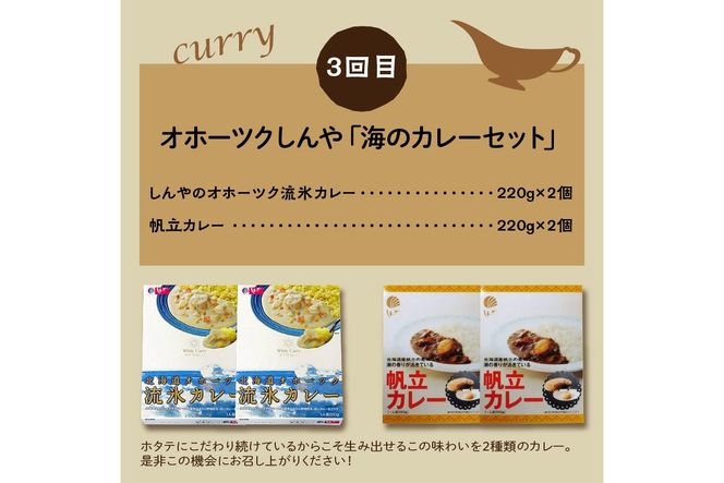 【3ヶ月定期便】 ＼カレー三昧／楽ちんおうちごはん ( カレー レトルトカレー 定期便 )【999-0112】