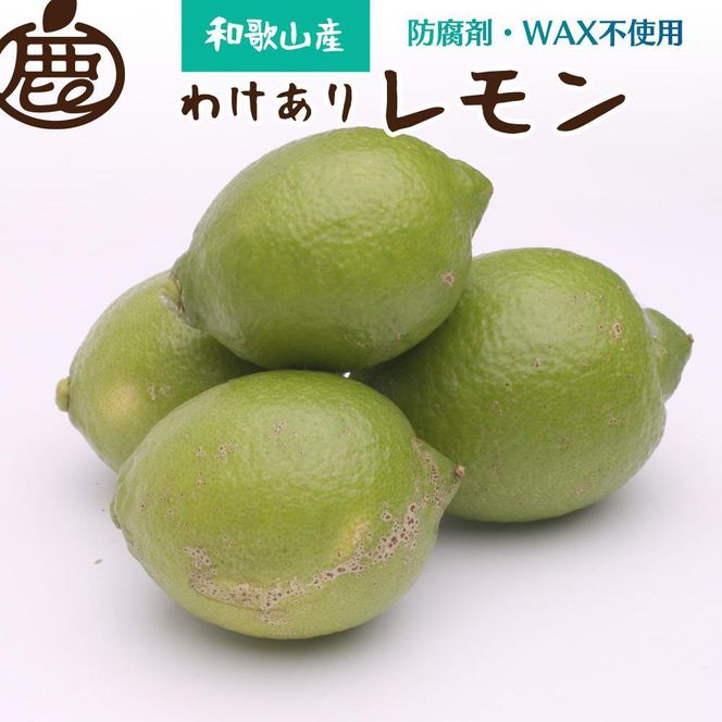 ＜9月より発送＞家庭用 黒潮レモン2kg+60g（傷み補償分）【和歌山有田川産】【防腐剤・WAX不使用、安心の国産レモン】【わけあり・訳ありレモン】CZ039  