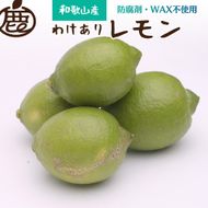 ［先行予約］わけあり レモン5kg+250g（傷み補償分）［和歌山有田産］［防腐剤・WAX不使用、安心の国産レモン］［わけあり・訳ありレモン］ 	CZ106