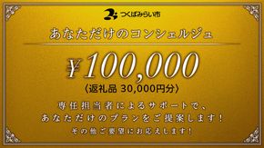 あなただけのコンシェルジュ10万円（商品代金30,000円分） [BH40-NT]