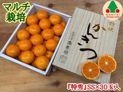 マルチ栽培 有田 みかん 化粧小箱 特秀 SS サイズ 30玉入 南泰園 BS669