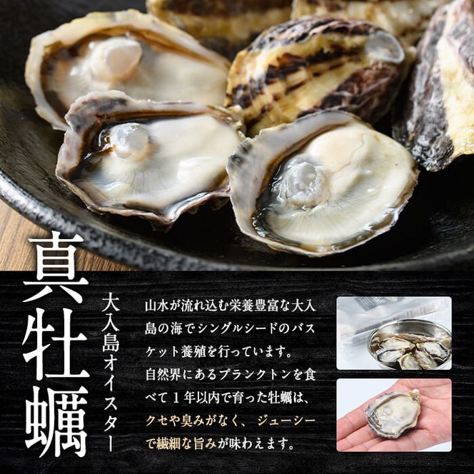 大入島 バージン オイスター 牡蠣 約1kg (1個約50g前後・20個入) 生食可 冷凍 | 真牡蠣 かき 貝 かい 酒蒸し 焼き牡蠣 パスタ 国産 一口サイズ ご当地 お取り寄せ グルメ 大分県 佐伯市【ED06】【(合)新栄丸】