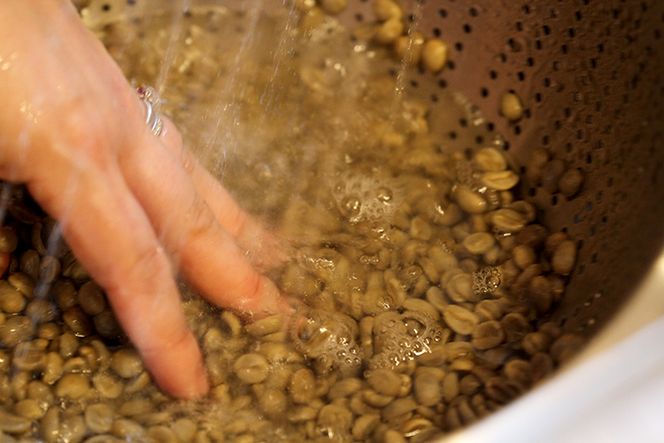 【定期便】直火焙煎　珈琲豆 210g　2025-2026