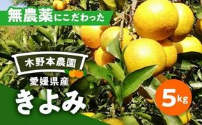 【栽培期間中農薬不使用】【先行受付】【数量限定】農園直送！愛媛県産 きよみ 5kg ｜ 柑橘 みかん ミカン 蜜柑 フルーツ 果物 ギフト 贈り物 栽培期間 無農薬 愛媛県産　※2025年2月下旬～5月下旬頃に順次発送予定