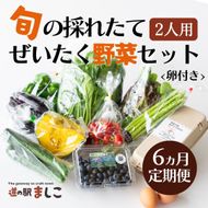 AA034 ＜6か月定期便＞旬の採れたてぜいたく野菜セット（卵付き）定期便 6カ月 2人用　野菜 やさい セット 旬 採れたて 卵 2人用 2人前 贅沢 ぜいたく 10個入り1パック