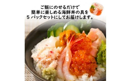 厳選！プレミアム海鮮丼セット 5個入 ( 海鮮丼 海鮮 イクラ ホタテ カニ ズワイガニ エビ 北海道 セット プレミアム 豪華 おつまみ 海の幸 )【094-0059】