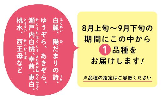 「8～9月晩生（おくて）桃」約1kg岡山県総社もも生産組合【2025年産先行予約】25-013-002