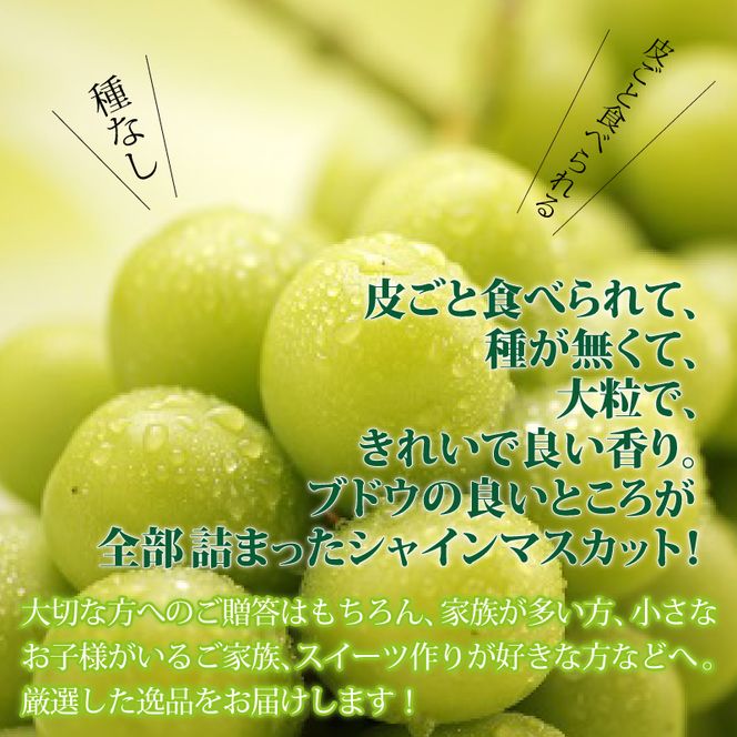 ぶどう「シャインマスカット（晴王）」岡山県総社市産【2025年産先行予約】25-019-002