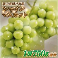 ぶどう「シャインマスカット（晴王）」岡山県総社市産【2025年産先行予約】25-019-002