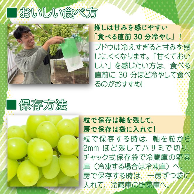 ぶどう「シャインマスカット（晴王）」岡山県総社市産【2025年産先行予約】25-019-002