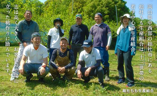 「8月～9月の晩生（おくて）桃」自家用2kg　岡山県総社もも生産組合【2025年産先行予約】25-020-001