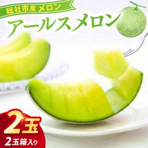 「アールスメロン（2玉）」岡山県総社市産【2025年産先行予約】25-023-004