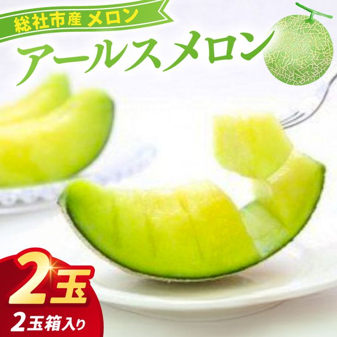 「アールスメロン（2玉）」岡山県総社市産【2025年産先行予約】25-023-004