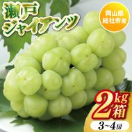 ぶどう「瀬戸ジャイアンツ」岡山県総社市産【2025年産先行予約】25-026-005