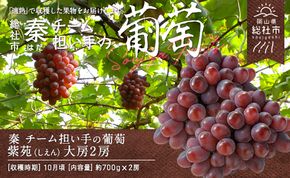 ぶどう「大房紫苑」（2房）総社市秦チーム担い手【2025年産先行予約】25-032-001