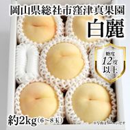 白桃「窪津真果園の白麗（約2kg箱）」岡山県総社市産【2025年産先行予約】25-035-006