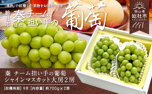 ぶどう「大房シャインマスカット」（2房）総社市秦チーム担い手【2025年産先行予約】25-045-001