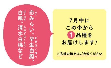 7月の桃（厳選大玉約2kg）岡山県総社もも生産組合【2025年産先行予約】25-050-002