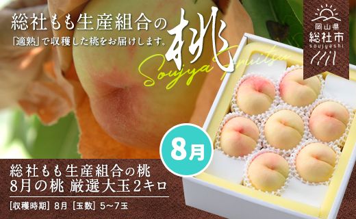 8月の桃（厳選大玉約2kg）岡山県総社もも生産組合【2025年産先行予約】25-050-003