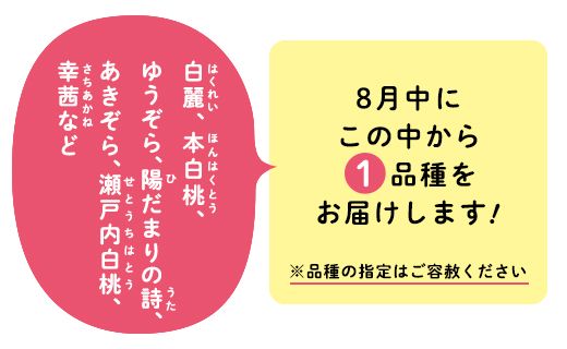 8月の桃（厳選大玉約2kg）岡山県総社もも生産組合【2025年産先行予約】25-050-003