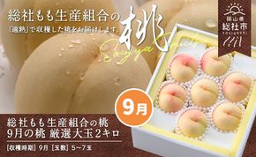 9月の桃（厳選大玉約2kg）岡山県総社もも生産組合【2025年産先行予約】25-050-004