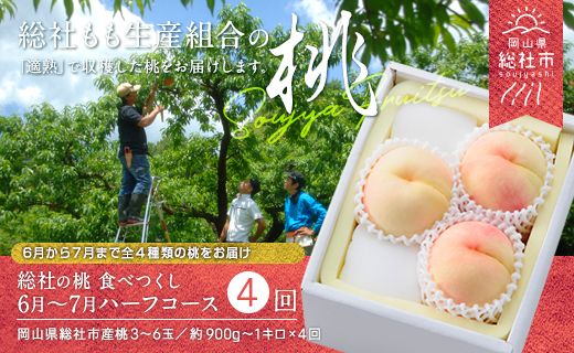 【4回定期便】桃 食べつくしハーフコース（6月～7月の桃）岡山県総社もも生産組合【2025年産先行予約】25-056-001