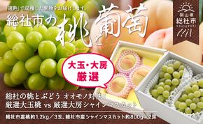 【2回定期便】 総社の桃とぶどう　オオモノ対決！厳選大玉桃 vs 厳選大房シャインマスカット　岡山県総社市産【2025年産先行予約】25-060-001