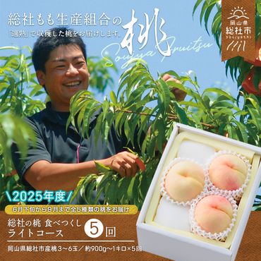 【5回定期便】白桃 食べつくしライトコース　岡山県総社もも生産組合【2025年産先行予約】25-070-001