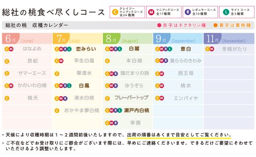 【5回定期便】白桃 食べつくしライトコース　岡山県総社もも生産組合【2025年産先行予約】25-070-001