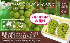 【3回定期便】総社の毎月シャインマスカット！7月、8月、9月の3回お届け　総社市秦チーム担い手【2025年産先行予約】25-100-001