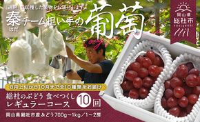 【10回定期便】総社のぶどう食べつくしレギュラーコース総社市秦担い手【2025年産先行予約】25-150-001