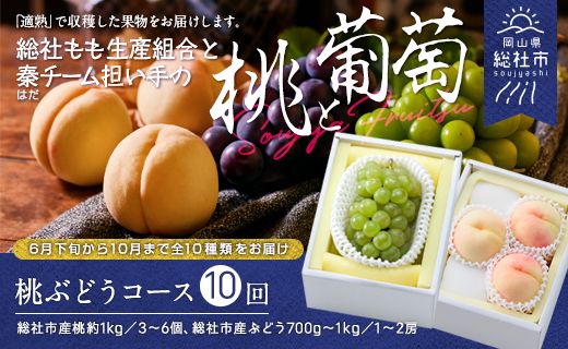 【10回定期便】総社の白桃ぶどう10種コース岡山県総社もも生産組合＆総社市秦チーム担い手【2025年産先行予約】25-150-002