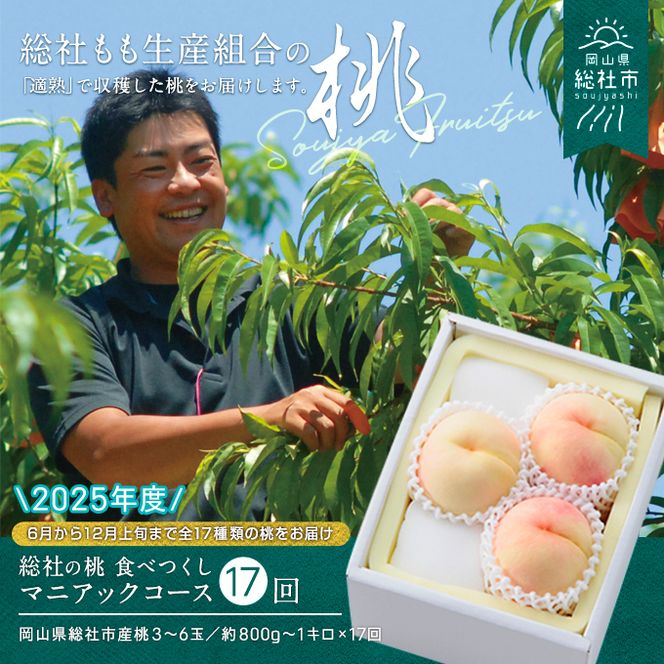 【17回定期便】桃 食べつくしマニアックコース　岡山県総社もも生産組合【2025年産先行予約】25-238-001