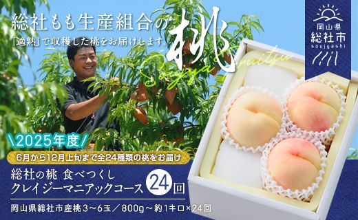 【24回定期便】桃 食べつくしクレイジーマニアックコース　岡山県総社もも生産組合【2025年産先行予約】25-336-001