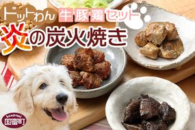 ＜愛犬用 ドットわん 炎の炭火焼き 牛豚鶏セット＞翌月末迄に順次出荷【b0638_pb】