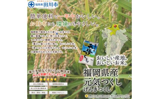 福岡県産元気つくし 無洗米 25kg(5kg×5)