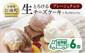 【定期便6回コース】とろける生チーズケーキ（プレーン・チョコ）+メロンパン [G2703]