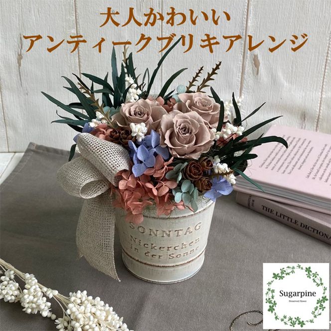 yʌtszAJ159-1 vU[uht[yN[zts VK[pC