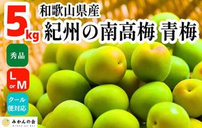 ［2026年6月上旬出荷］青梅 南高梅 5kg 秀品  LまたはMサイズ 和歌山県産 A品 梅酒作り用 梅ジュース作り用 AX97