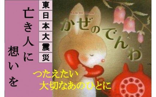 y茧ƒz{kЕ֘AЁiG{F̂łjy0tsuchi00716z