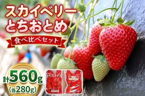 スカイベリー×とちおとめ 食べ比べセット《12月中旬より順次発送》｜いちご 苺 フルーツ 果物 産地直送 [0560]